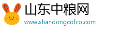 山东中粮网